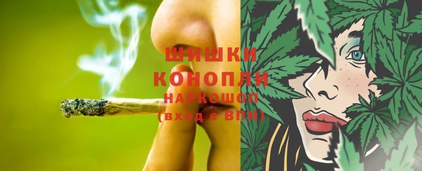 стафф Таштагол