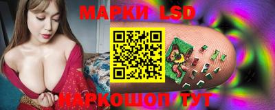 сатива Кинель