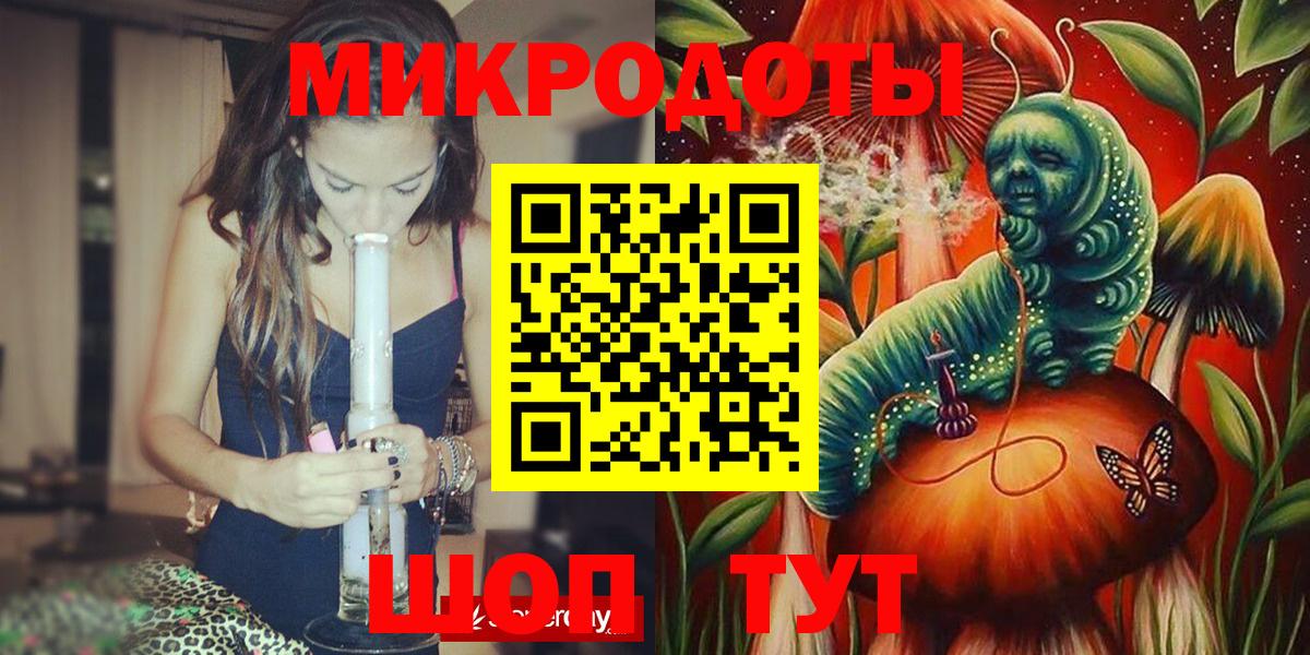 Галлюциногенные грибы Psilocybe Нефтеюганск