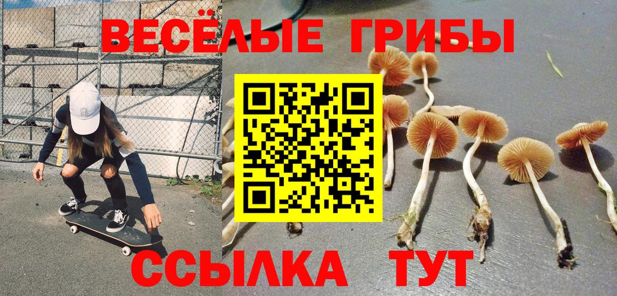 Нефтеюганск  Псилоцибиновые грибы мухоморы  Вход с VPN 